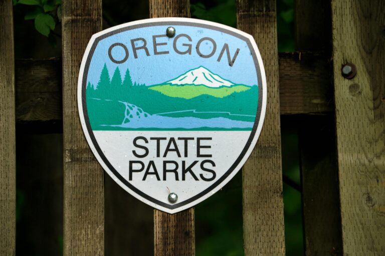 At Camp Tillamook on Oregon's coast, incarcerated youth are planting native plants guided by Indigenous knowledge from Willamette Valley tribes. Since the program began, nearly 712,000 plants have been placed across 3,800 acres. The programme helps them earn money, gain work experience, and leave with real skills — and a deeper connection to the land.