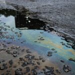 Representatives of 56 countries gathered in Colombia for the first international conference dedicated to phasing out coal, oil, and gas — open only to countries willing to make a real commitment. The coalition represents more than half of global GDP, nearly a third of global energy demand, and a fifth of fossil fuel supply.