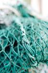 Solar-powered nets reduce sea turtle bycatch by 63 %