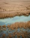 Long-awaited rain revives Iraq’s ancient Huwaizah Marshes