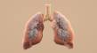 Lab-grown mini-organs replace live animal testing