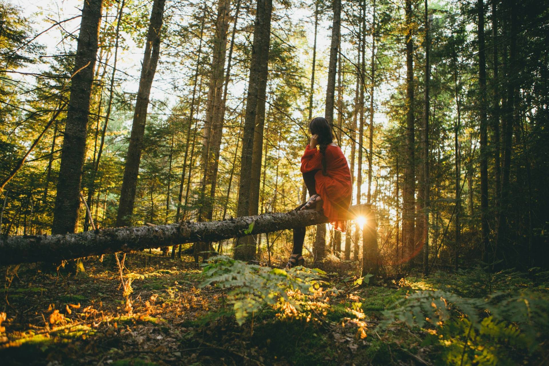 In London in the United Kingdom, doctors are referring patients to a programme called Dose of Nature, where guided time outdoors becomes part of treatment for anxiety, depression and stress. Participants explore parks, woodlands and riversides with trained leaders. The approach is delivering strong results,