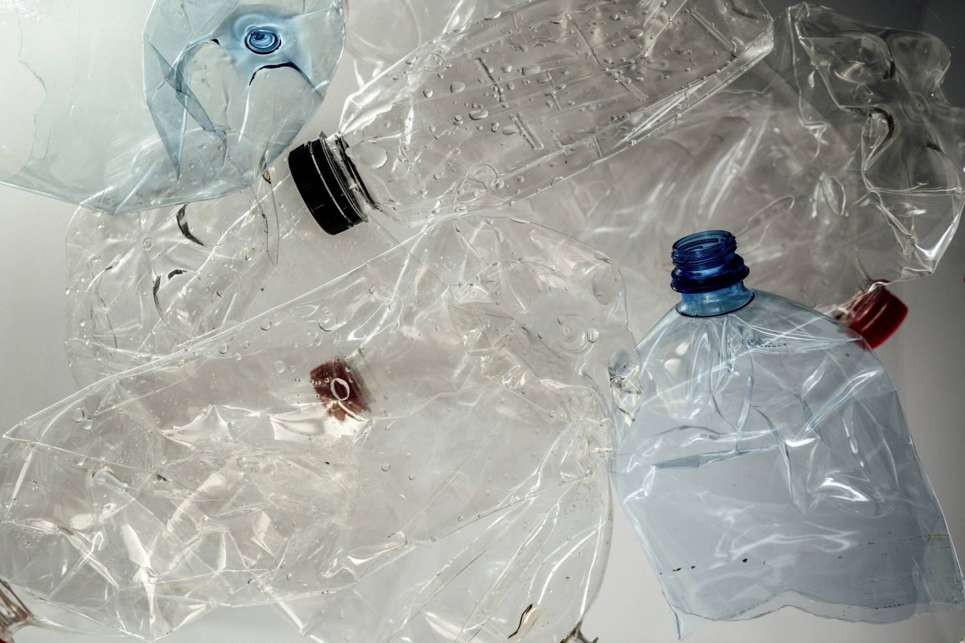 Scientists at the University of Edinburgh in Scotland have found a way to transform discarded plastic bottles into L-DOPA, one of the most widely used medicines for Parkinson’s disease. Using engineered E. coli bacteria, they converted PET plastic into the drug through a biological process—turning waste