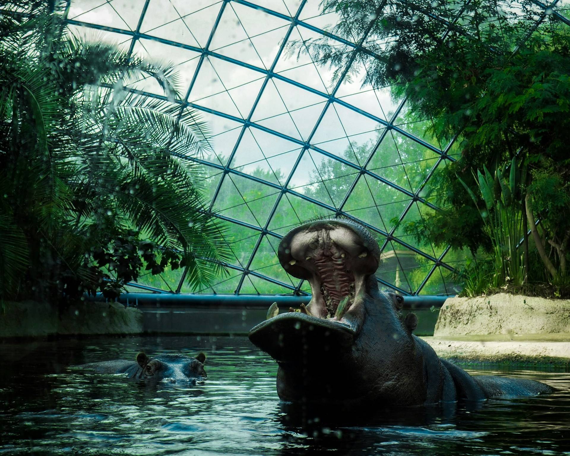 Cultural institutions worldwide are adding barrier-free tours — sign-language guides, touch-based events, autism-friendly programs — and now dementia-specific visits. In Berlin, slow-paced small-group tours are offered at the zoo, the Museum of Natural History, and Charlottenburg Palace, keeping them