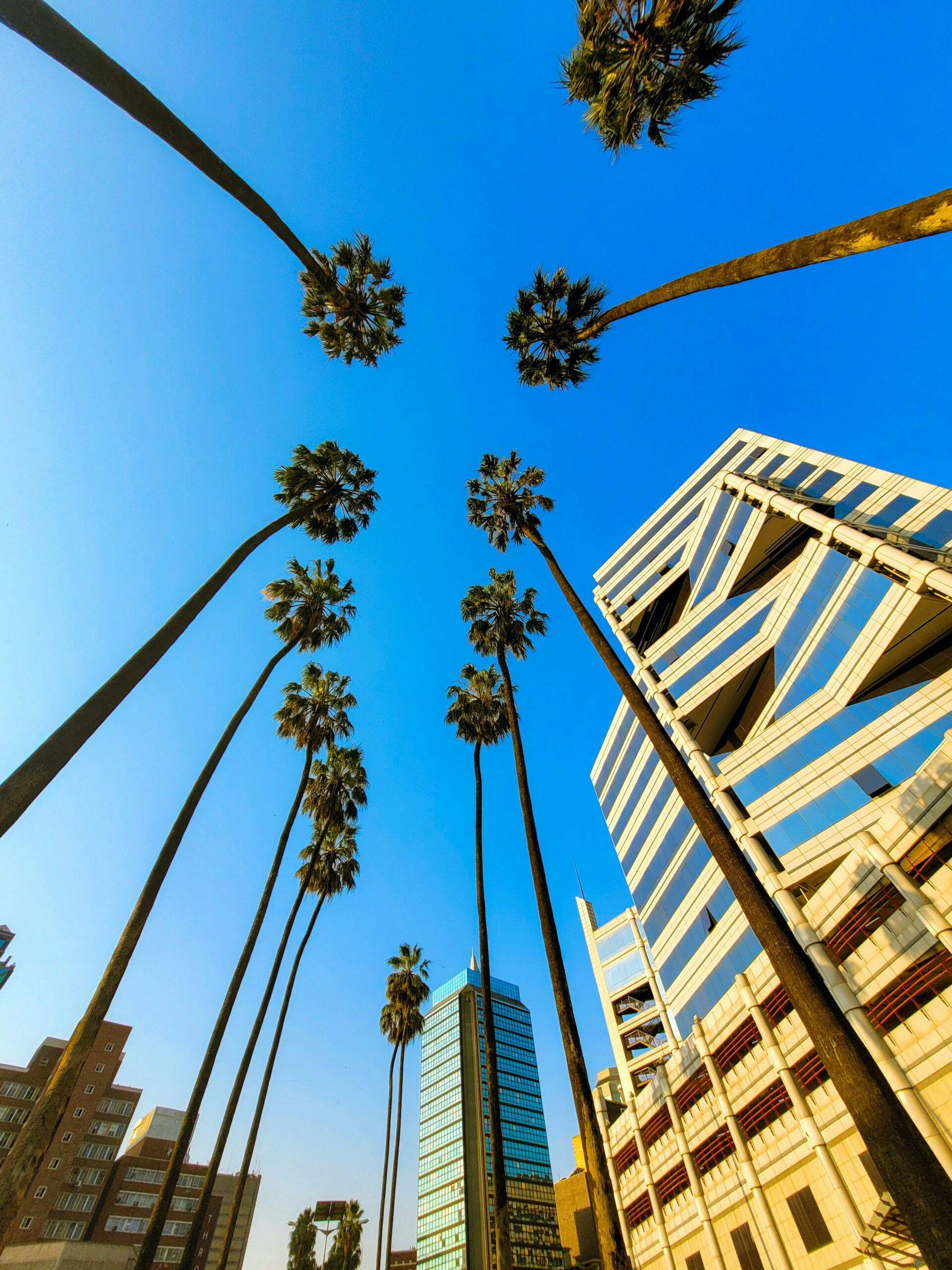 South Africa has returned Zimbabwe’s sacred Chapungu soapstone bird and ancestral human remains taken during colonial rule more than a century ago. Handed over in Cape Town, the return restores a national symbol carved at Great Zimbabwe and helps families and communities reconnect with heritage long